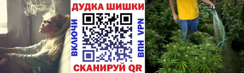 Бошки Шишки MAZAR  Купить  Ленск 